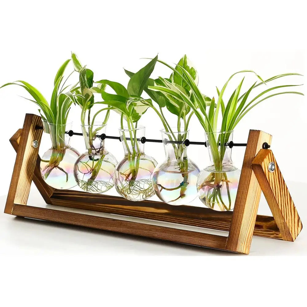 Plant Terrarium Wooden Stand