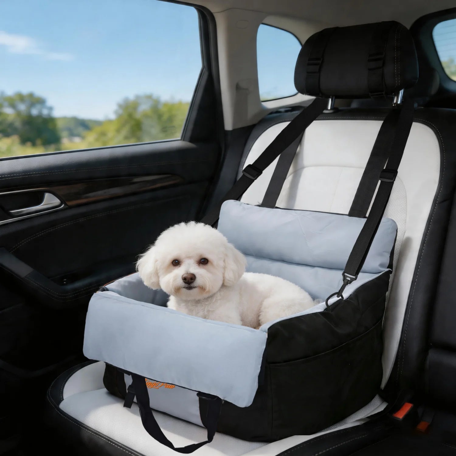 Washable Pet Booster Car Seats with Safety Belt