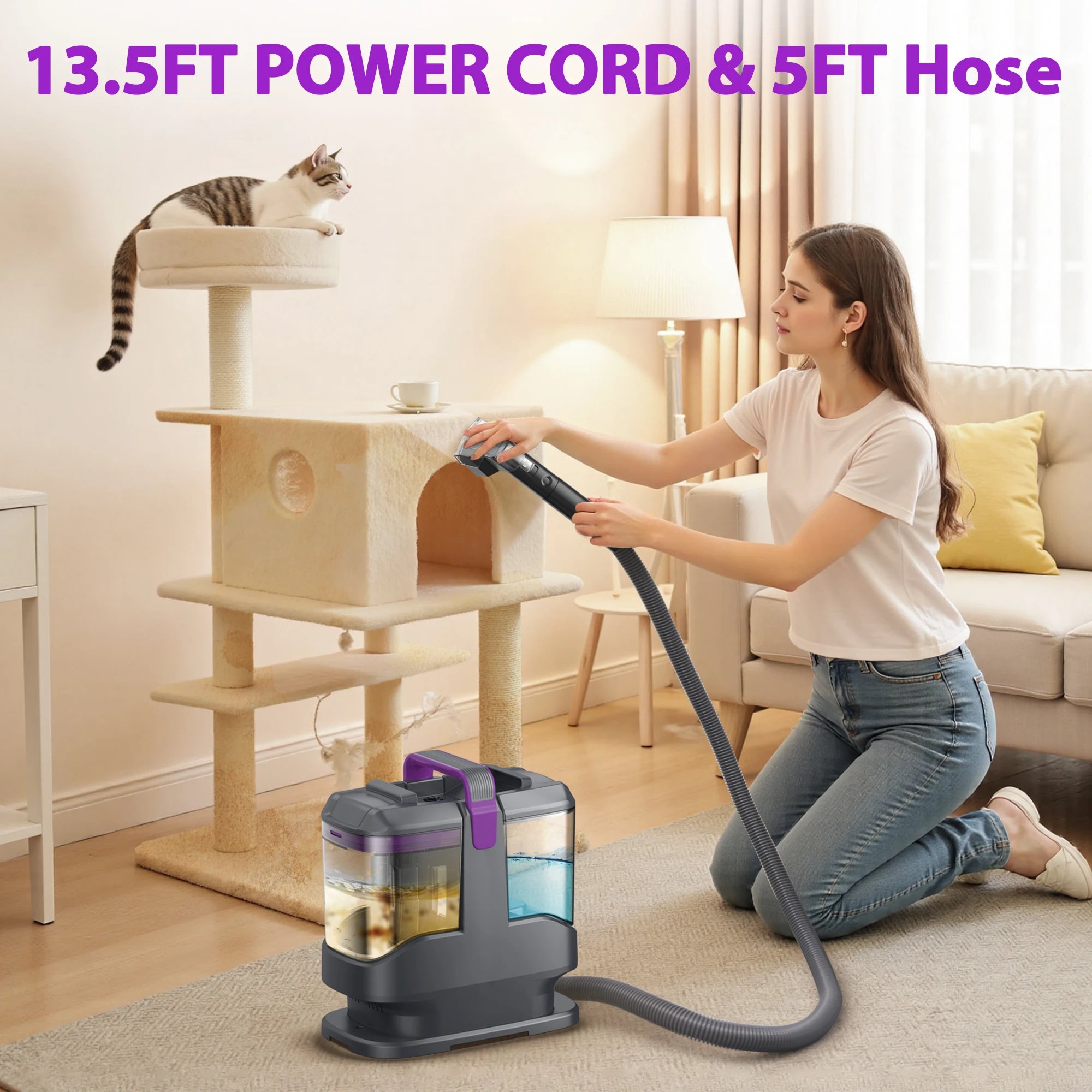 Portable Carpet & Upholstery Cleaner Machine