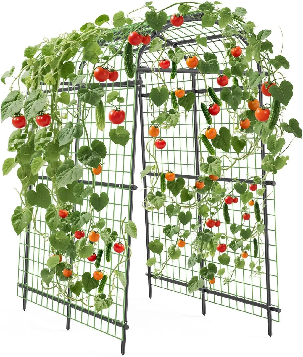 Garden Arch Trellis, 7.5FT Extra Tall Polyethylene-Coated Stainless Steel Garden Trellis for Cucumbers, Melons, Vegetables, Peas, Tomatoes & Climbing Vegetables, Outdoor Rust-Resistant Trellis