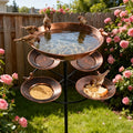 4-in-1 Outdoor Heavy-Duty Double-Layer Bird Bath! Equipped with 5 Large-Capacity Catchment Basins & 5-Claw Stable Base, Rustproof & Durable, All-season Garden Ornament & Bird Feeder, Perfect Pick for Bird Lovers