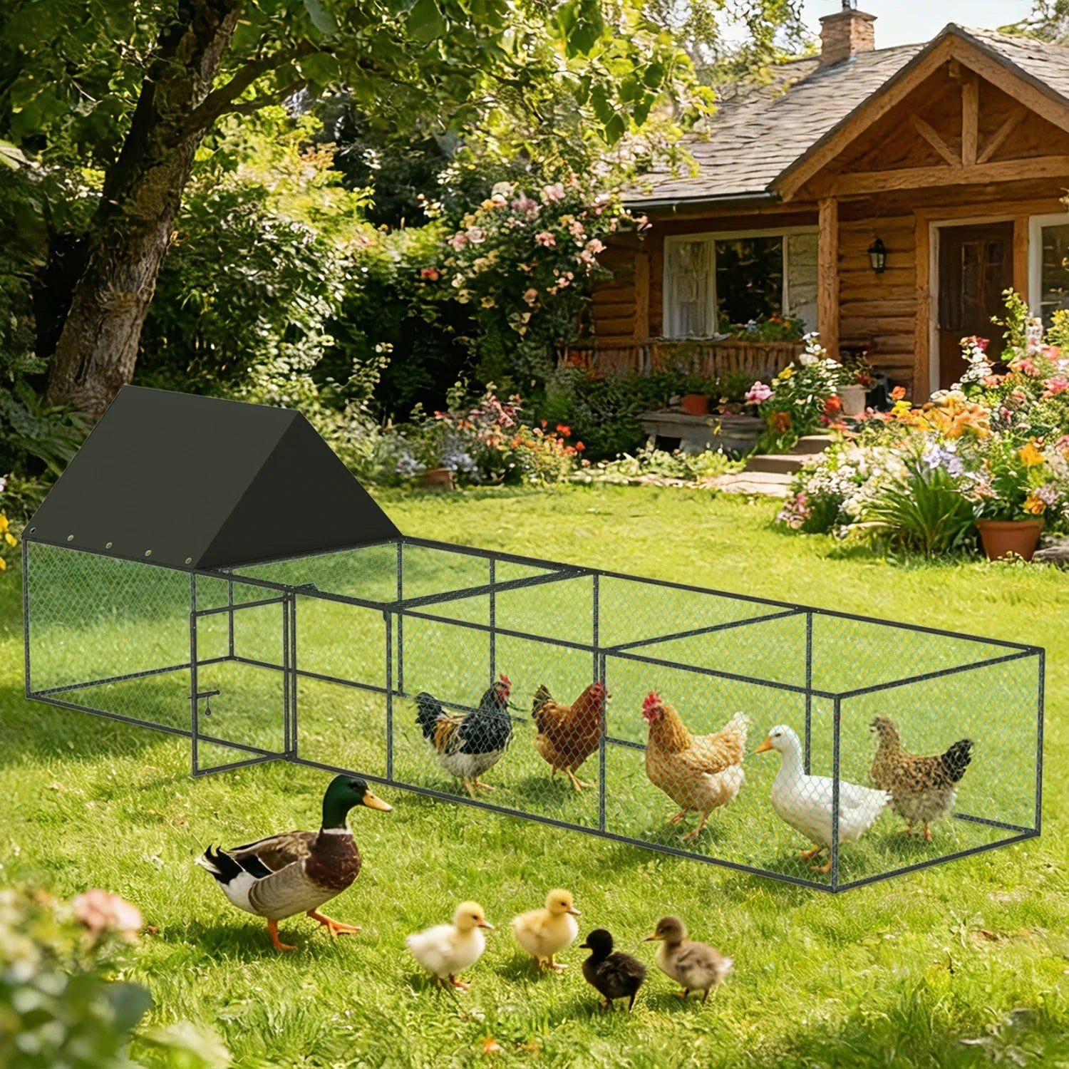 Large Walk-in Chicken Runs Fence Hen Duck House with Nylon Netting and Cover Habitat Cage