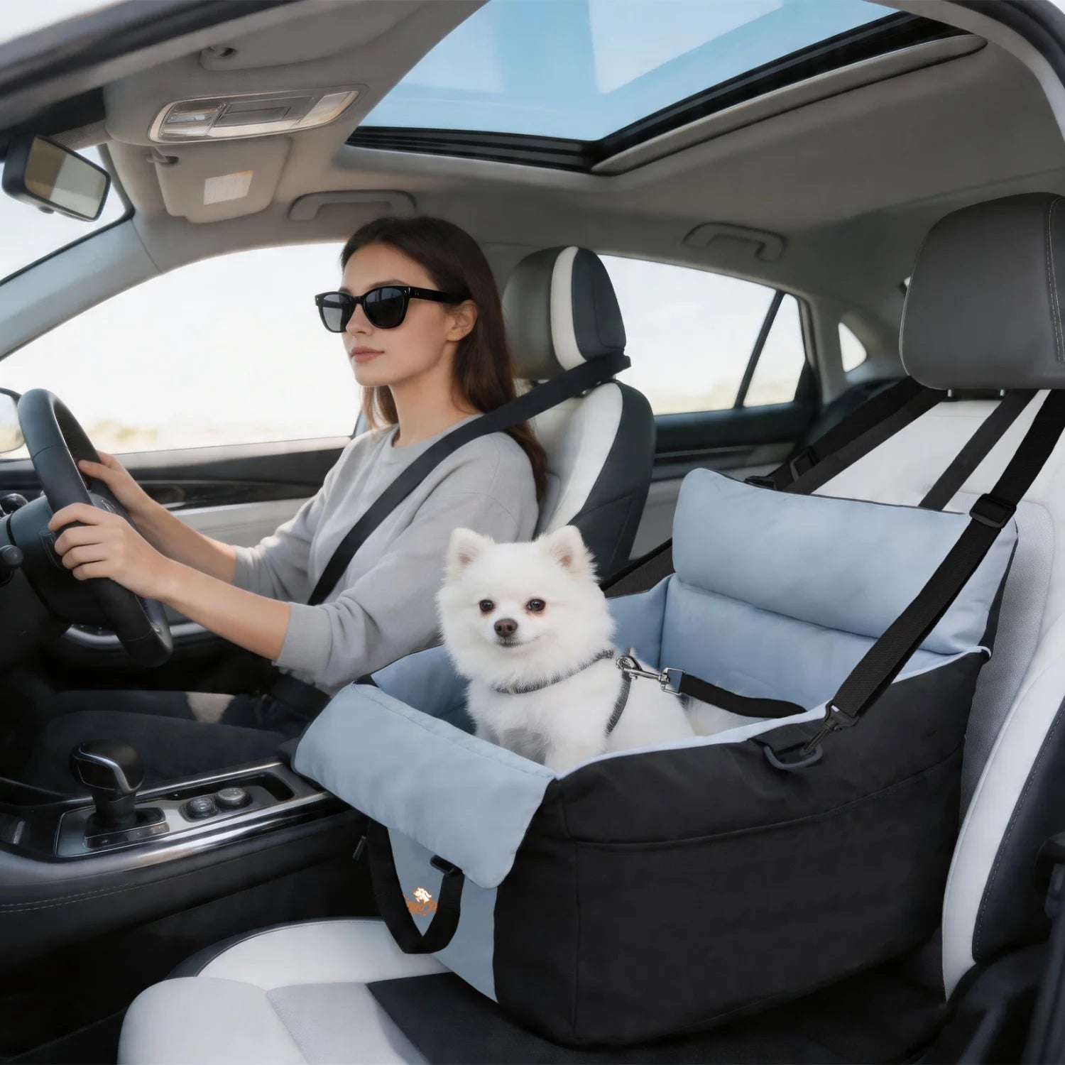 Washable Pet Booster Car Seats with Safety Belt